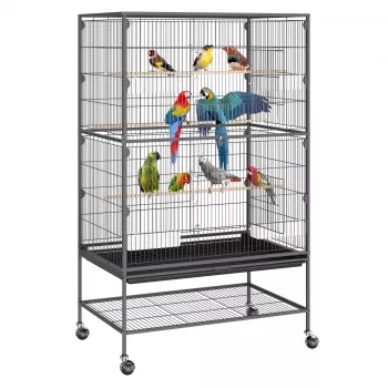 52-Inch Rolling Bird Cage: Setup, Placement & Care