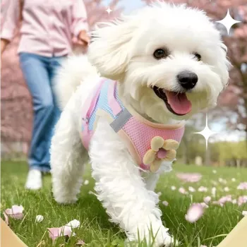 Adjustable No-Pull Vest Harness & Leash for Small Dogs